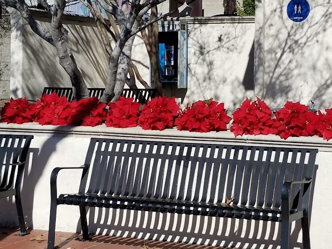 Claremont Village street scene with benches and red poinsettias near Tres Bon Salon